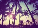 Fotoblog nzalewskaonetplvppl