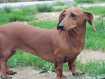 Fotoblog duszawka9516