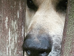 Fotoblog dagmaramusial1