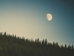 Fotoblog sheflawless