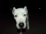 Fotoblog hemp3xx