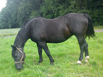 Fotoblog lubiexx