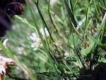 Fotoblog anjaganja420