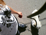Fotoblog 0nlymydream