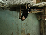 Fotoblog oschelive