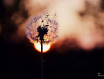 Fotoblog inspirationeverywhere