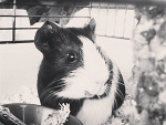 Fotoblog martaaaaaaaaaaaaa