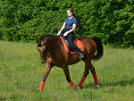 Fotoblog jowikonik4