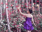 Fotoblog instigate