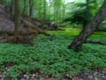 Fotoblog trzymetryynadniebem