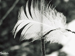Fotoblog mejkmismajlxd