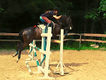 Fotoblog paula1998camel