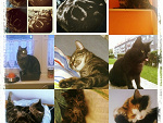 Fotoblog fotografka19