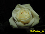 Fotoblog waznemarzenia