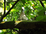 Fotoblog vultusproinvicem