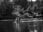 Fotoblog beyourselfnow