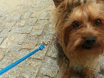 Fotoblog acocietooxdd