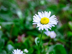 Fotoblog neur0tyzm