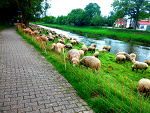 Fotoblog wiktoriakaczmarek