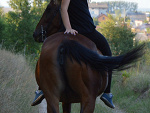 Fotoblog okrzejkowo