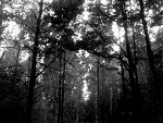 Fotoblog ultramarynaxd