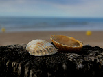 Fotoblog malglis