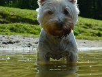 Fotoblog emilkax333