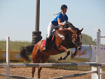 Fotoblog williamowa14