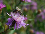 Fotoblog zuzia4ever