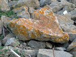 Fotoblog brokenline