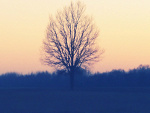 Fotoblog doreenmcl
