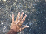Fotoblog atttttta
