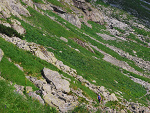 Fotoblog luthiien