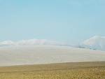 Fotoblog leniwieczzoo