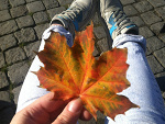 Fotoblog aneciokk