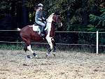 Fotoblog betii21