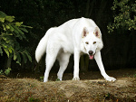 Fotoblog painxx