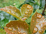 Fotoblog magulek