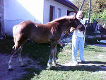 Fotoblog niuska13