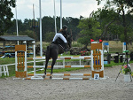Fotoblog koniara0202