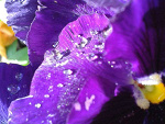 Fotoblog aloneaagain