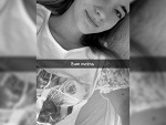Fotoblog dafaktox