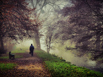 Fotoblog emptyroad