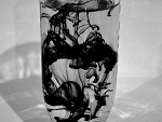 Fotoblog acidum