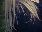 Fotoblog yeeah