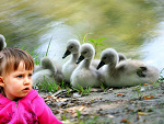 Fotoblog photonikon