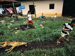 Fotoblog milagrosola