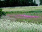 Fotoblog michufotograf