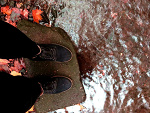 Fotoblog patronuum
