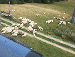 Fotoblog hekemi